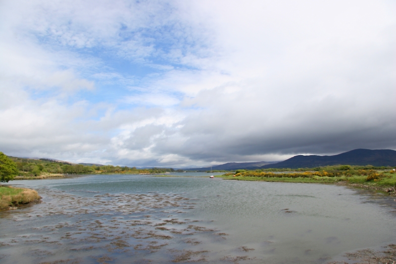 Countryside Ireland 10.jpg